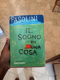 Il sogno di una cosa di Pasolini