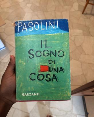 Il sogno di una cosa di Pasolini