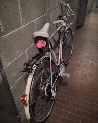 city bike Olmo