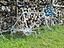 Immagine 4