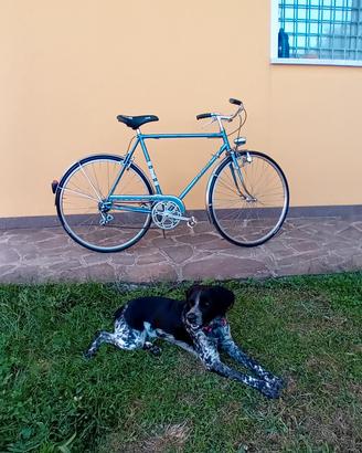 bici legnan anni 70 