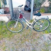 bicicletta carnielli 