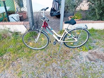 bicicletta carnielli 