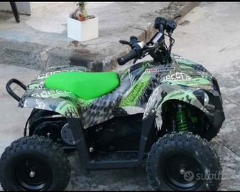 Quad elettrico Mik Motor 1000w
