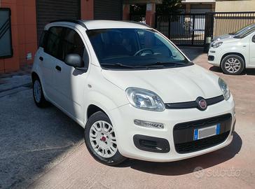 FIAT Panda 3ª serie 1.2 easy benzina 70 CV