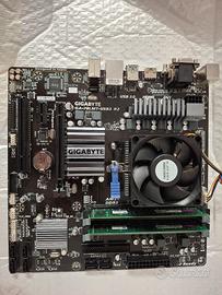 Scheda madre Gigabyte GA-78LMT Bundle RAM e Proces