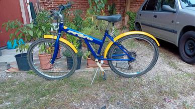 Bicicletta Frera ragazzo