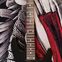 Schecter Diamond Series