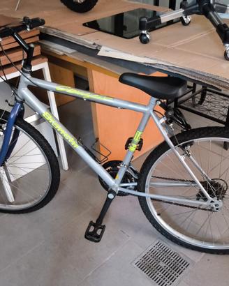 Mountain bike Bianchi (26")