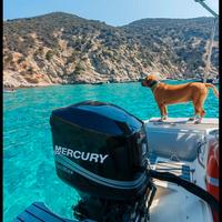 Mercury optimax 150cv