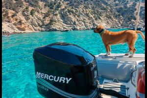 Mercury optimax 150cv