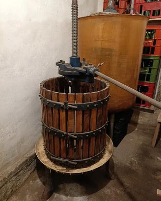 torchio per uva