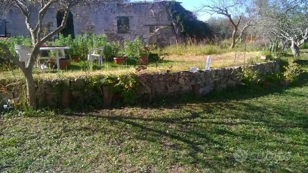 Terreno con fabbricato - Vista 3