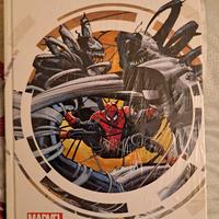 Fumetto Spider man