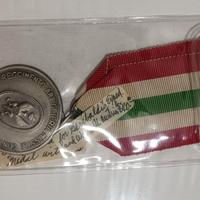 medaglia 5 reggimento artiglieria missili contraer