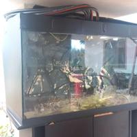 Per cambio casa vend acquario molto grande, 320 L