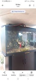 Per cambio casa vend acquario molto grande, 320 L
