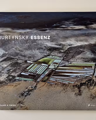 Edward Burtinsky Essenz Hardcover Prestel 2016