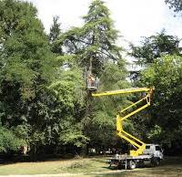 Taglia albero potatura con cestello Peschiera zone