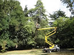 Taglia albero potatura con cestello Peschiera zone