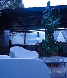 Delizioso appartamento a Roma con giardino