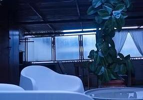 Delizioso appartamento a Roma con giardino