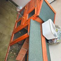 Casetta conoglio o piccoli animali