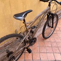 bicicletta