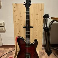 Chitarra elettrica Manne