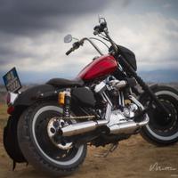 Harley-Davidson Sportster 1200 - 2004
