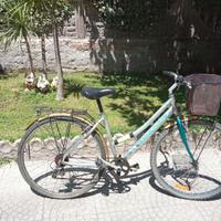 Bicicletta olandese