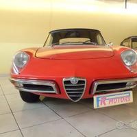 ALFA ROMEO Spider OSSO di SEPPIA - Anni 70--TRATTA