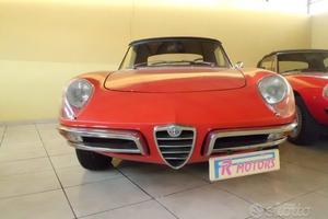ALFA ROMEO Spider OSSO di SEPPIA - Anni 70--TRATTA