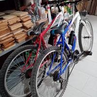 Biciclette e accessori 