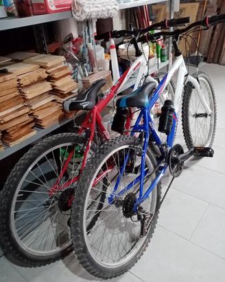 Biciclette e accessori 