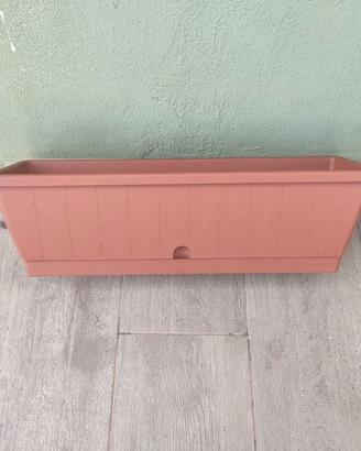 Cassetta per fiori/piante