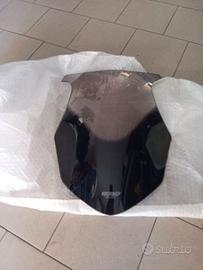 cupolino fumè per kawasaki z1000 sx