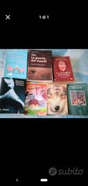 Libri famosi e romanzi classici 