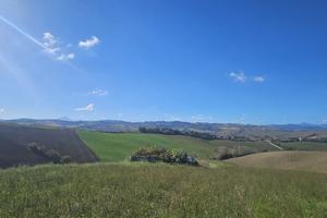 Indipendente a Montecarotto