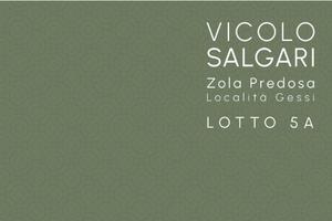 VILLA INDIPENDENTE SVILUPPATA SU DUE LIVELLI ZOLA