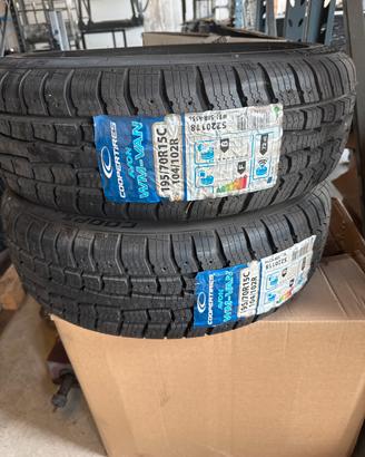 gomme termiche furgone