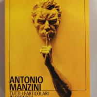 Libro "Tutti I Particolari In Cronaca", A. Manzini