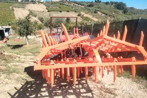 Erpice a denti