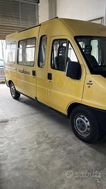 Ducato scuolabus
