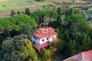 Tenuta - Vinci