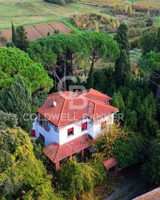 Tenuta - Vinci
