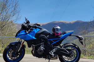 Suzuki gsx8s