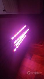 Luci led viola piante