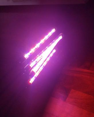 Luci led viola piante