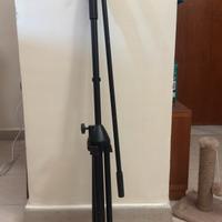 Asta microfonica professionale a giraffa